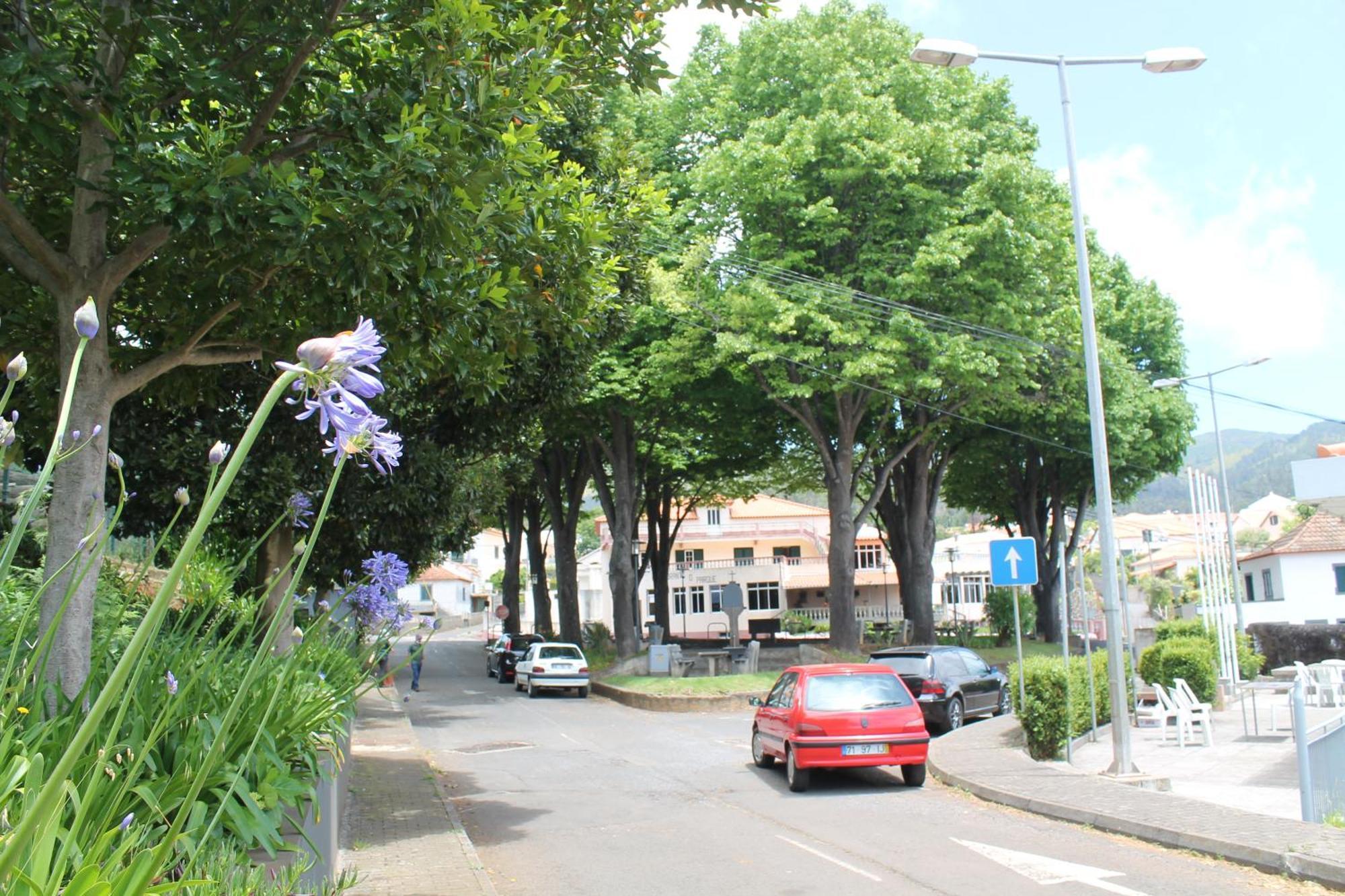 Ourmadeira - Prazeres Paradise Eksteriør bilde